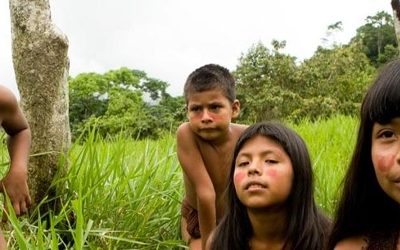 TAMBIÉN LA LLUVIA – DOMINGO 28 DE ENERO