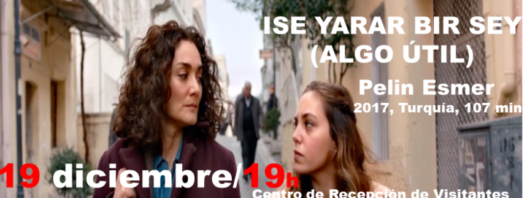 ALGO ÚTIL/ ISE YARAR BIR SEY- DOMINGO 19/12/21-19H