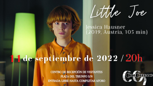 LITTLE JOE – 11 de septiembre