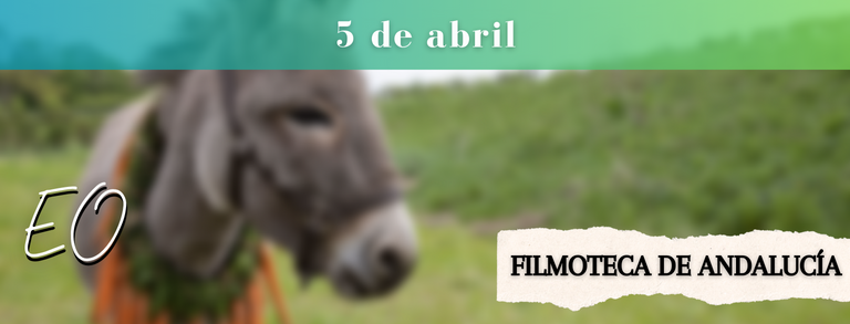 EO – 5 de abril a las 20,30 en la Filmoteca